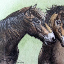 Exmoor Ponies