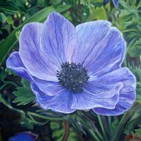 Anenome