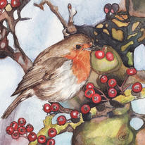 Robin with Berries
