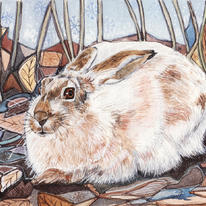 hidden The Winter Hare