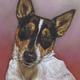 Milly | (sold) | 23 x 28cm | Pastel on Colourfix Paper Milly