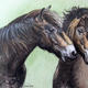 Exmoor Ponies