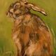 Grumpy Hare | | 13 x 18cm | Oil on Canvas Grumpy Hare