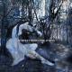 Sleeping beauty | £10 | | Digital Sleeping beauty