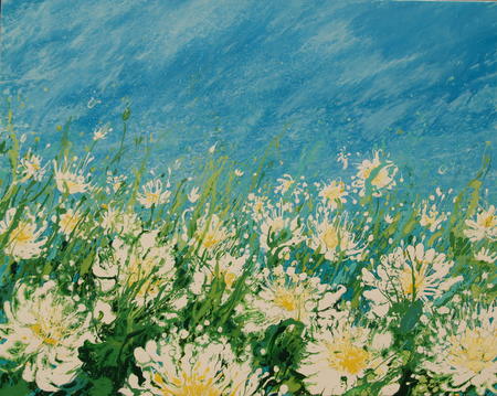 big daisy meadow
