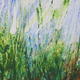 springlight