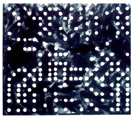 Domino Theory       1997