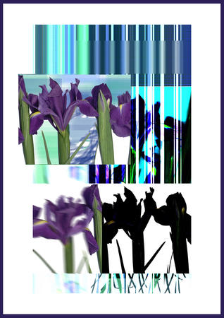 Iris Scandal        lim.ed.print