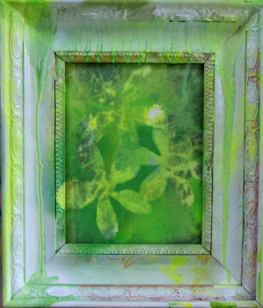 Cold Frame