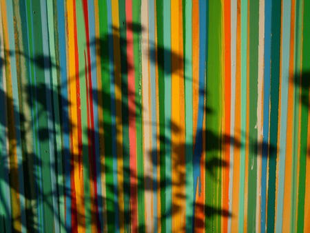 Wish you were lovely, in dappled shade
