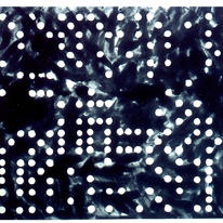 Domino Theory       1997