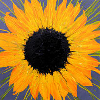 Sunflower Spin No. 1