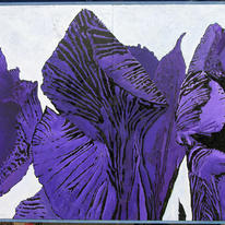 Iris Diptych