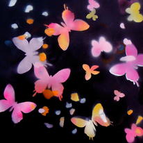 Two Butterflies.... Same Direction