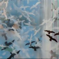 Flocking Gulls