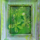 Cold Frame