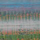 Neapolitan Mist detail
