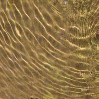 ripple effect