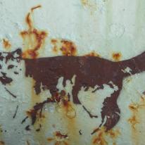 graffiti cat