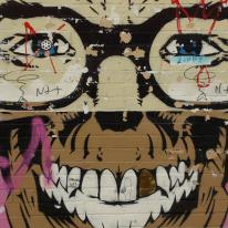 monkey face detail NY