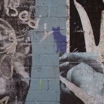 purple cat NY