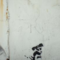 graffiti puppy