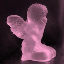 glass angel dusky