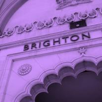 Brighton purple