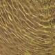 ripple effect