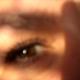 through the lens