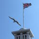 flagged flight