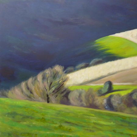 Shadowed Hills #2
