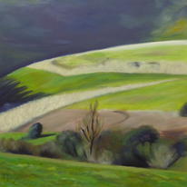 Shadowed Hills #1