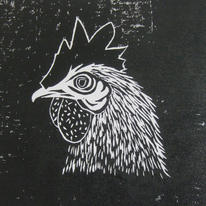 Cockerel