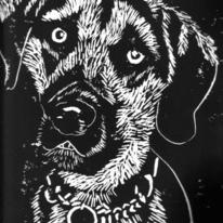 A Dog's Life