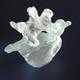 L5 | | | Cast Glass L5