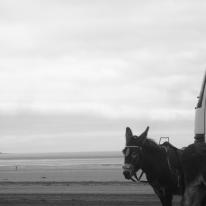 British Seaside