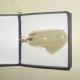 glass pendant | | | glass pendant