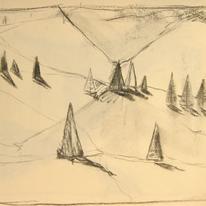 hidden Tall trees, sketch