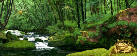 Woodland