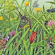 British Hay Meadow
