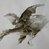 Nurture Series 1