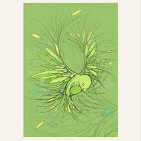 'Green Bird' LucyCorrina