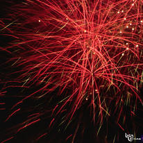 Fire Flowers