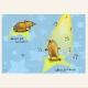 'Small Fat Hamster'… | £18 | 40 x 30cm | Mounted print 'Small Fat Hamster'…