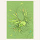 'Green Bird' LucyCorrina | £20 | 30 x 40cm | Mounted Print 'Green Bird' LucyCorrina