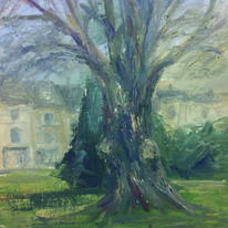 Montpellier Gardens Beech