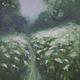 Snow clouds of elder | (sold) | | Snow clouds of elder