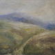 Frith Wood from Bull's… | (sold) | | Frith Wood from Bull's…