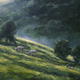 Light on the slopes | ¥52300 | 70 x 50cm | Oil Light on the slopes